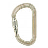 Petzl Vulcan carabiner