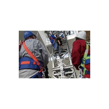 Tower Climber / Rescue Revalidation