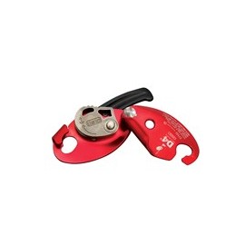D4 Rescue Descender
