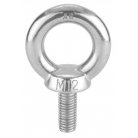 Door Eye bolt